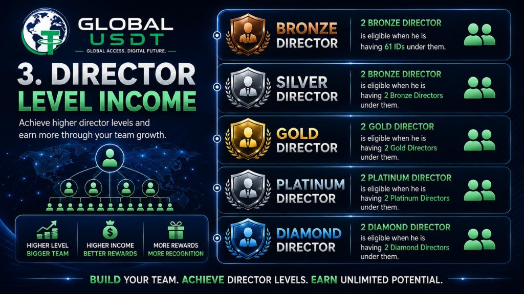 GLOBAL USDT — Director Level Income